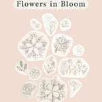 Flowers in Bloom illustration featuring various floral designs on a pastel background.